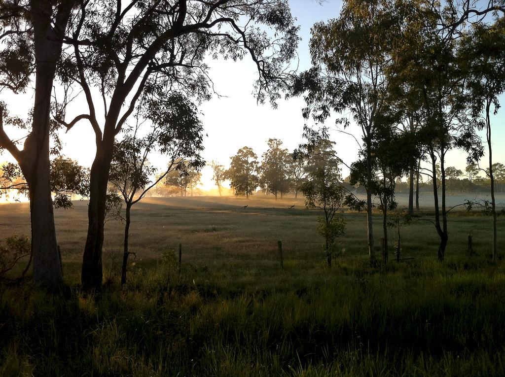 הרווי ביי Susan River Homestead מראה חיצוני תמונה